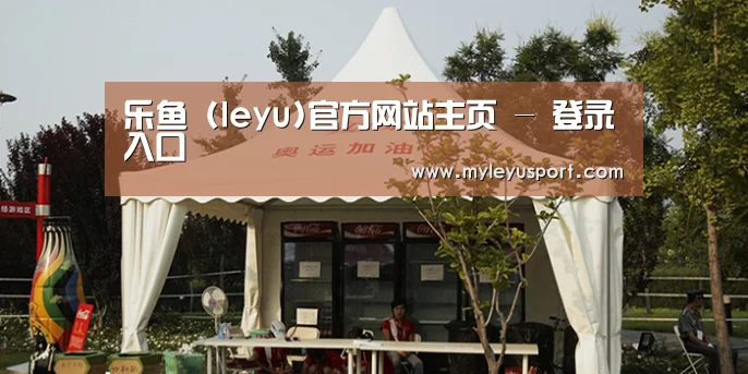 案例标题五