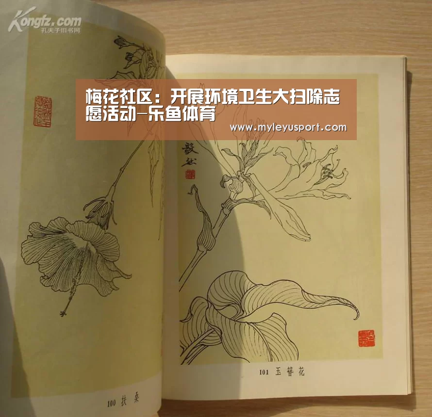 梅花社区:开展环境卫生大扫除志愿活动-乐鱼体育