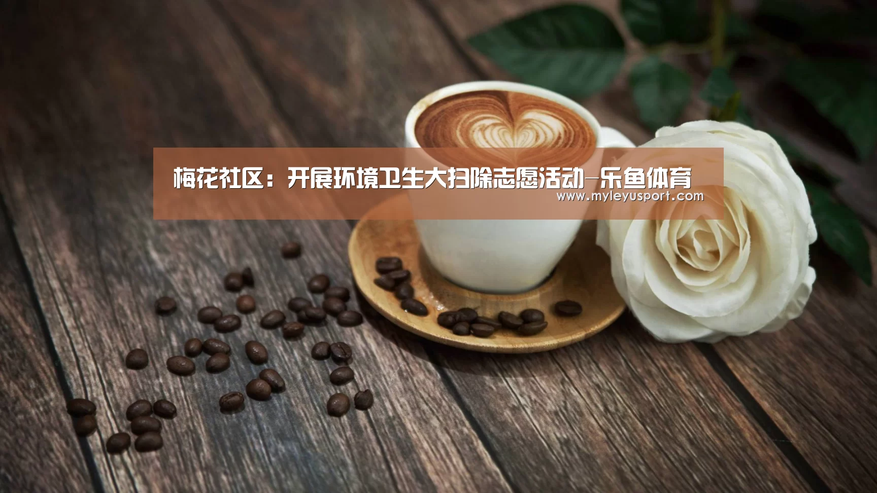 乐鱼官网